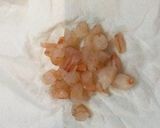 のどごしツルッと☆ニラの水餃子作り方3写真