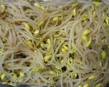 昆布だしで♪簡単おいしい♪豆もやしナムル作り方3写真