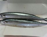 さっさっ秋刀魚サンマ棒・寿司～っ❗作り方1写真