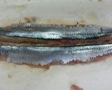 さっさっ秋刀魚サンマ棒・寿司～っ❗作り方4写真