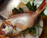 子供も喜ぶ！鯛のアラで作る絶品鯛飯作り方1写真