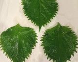 大葉大量保存に！真っ青塩漬け作り方4写真