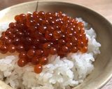ごはんがすすむ いくらの醤油漬け作り方7写真