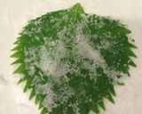 大葉大量保存に！真っ青塩漬け作り方5写真