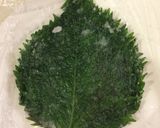 大葉大量保存に！真っ青塩漬け作り方7写真