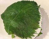 大葉大量保存に！真っ青塩漬け作り方8写真