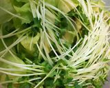 くらげサラダ作り方1写真