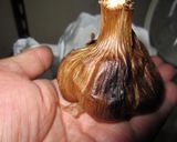 黒にんにく作り(低臭対策)作り方7写真