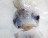 烏賊のイカしたさばき方いかが？うまい！笑作り方24写真