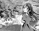 夏の宝石そうめん作り方12写真