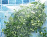 夏野菜無駄なく!冷凍保存作り方5写真