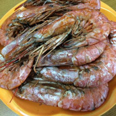 蒸しエビ 食研仕込 蒸しえび 500g 冷凍 | 日本食研