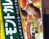 やっぱ夏だねシリーズ◆鳥胸肉カレーライス作り方10写真