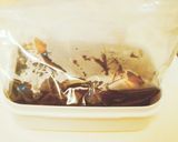 失敗なし＆簡単！なすの揚げ浸し作り方6写真