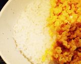 余計なものはいらない。そぼろ丼作り方7写真