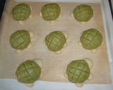可愛い☆カメロン パートⅡ作り方9写真