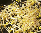 もやしと豆苗の中華炒め☆ビーガン作り方4写真