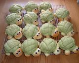 可愛い☆カメロン パートⅡ作り方12写真