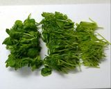 ケチャップかけるだけ！豆苗の卵とじ。作り方1写真
