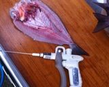 冷蔵庫で作る美味しい魚の干物作り方2写真