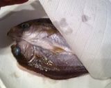冷蔵庫で作る美味しい魚の干物作り方5写真