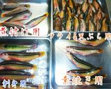 ベラの煮付け【ベラ部門1位】作り方1写真