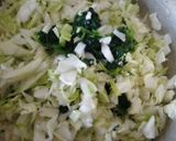 野菜たっぷりほうれん草入りお好み焼き作り方1写真