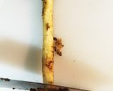 便秘解消☆ごぼうの冷製スープ作り方1写真