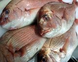 昆布茶を使った簡単昆布締めカルパッチョ　作り方1写真