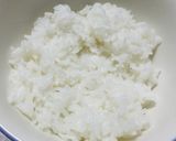 平成猫飯☆ねこまんま☆《アカン飯》　夏！作り方1写真