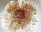 平成猫飯☆ねこまんま☆《アカン飯》　夏！作り方3写真
