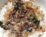 平成猫飯☆ねこまんま☆《アカン飯》　夏！作り方6写真