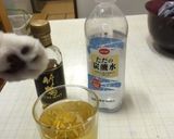 ハイボール〜(o˘◡˘o)♡作り方5写真