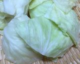 ベジ的浜松餃子（試作5号）作り方2写真
