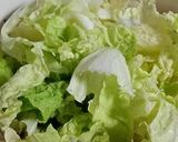 簡単♡レンジ減圧調理！コリコリ白菜と玉葱作り方22写真