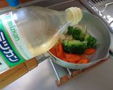 最速のガラパゴス（野菜）作り方9写真