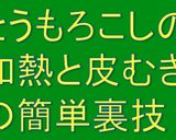 スプラウトとコーンの冷製スープ作り方7写真