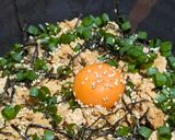 幸タレでレンチン簡単鶏そぼろ丼作り方5写真