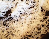 白滝入り豆腐そぼろアンチョビパスタ作り方3写真