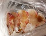 刺身で焼魚☆離乳食後期作り方2写真