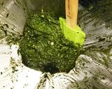 青紫蘇ジェノバソース＆冷凍保存法作り方6写真