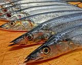 【おもてなし】秋刀魚のポーポー「串」焼き作り方1写真