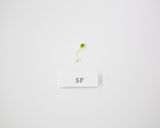 SF "Cinema Salad"作り方7写真
