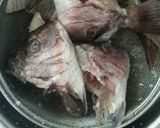 風味豊かな真鯛の鯛めし☆炊飯器でお焦げも作り方1写真