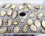 菊芋のパウダー化｜粉砕機ミニスピードミル作り方1写真