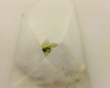 余った野菜で 簡単 ミニ春巻き作り方14写真