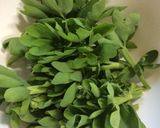 長命草の天ぷら作り方1写真