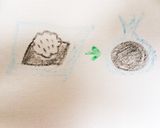 キャラ弁 簡単 ミッキー作り方1写真