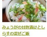 みょうがの甘酢漬けとしらすの混ぜご飯作り方5写真