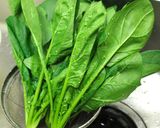 芝麻菠菜｜ほうれん草のゴマ和え作り方1写真
